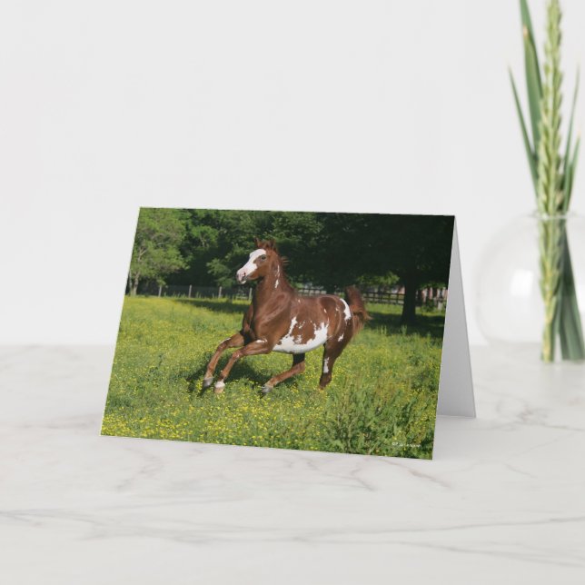 Carte Bob Langrish | Pinto Oldenburg Courir en fleurs (Devant)