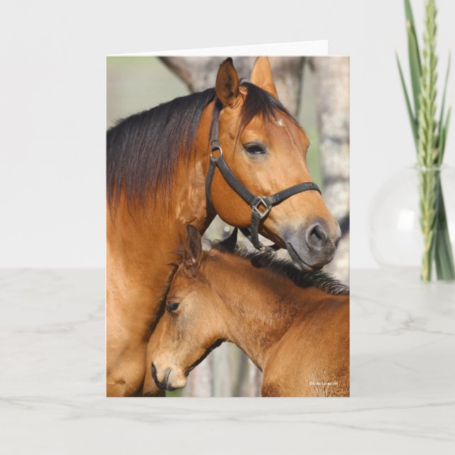 Carte Bob Langrish Quarter Cheval Mare et poulain (Devant)