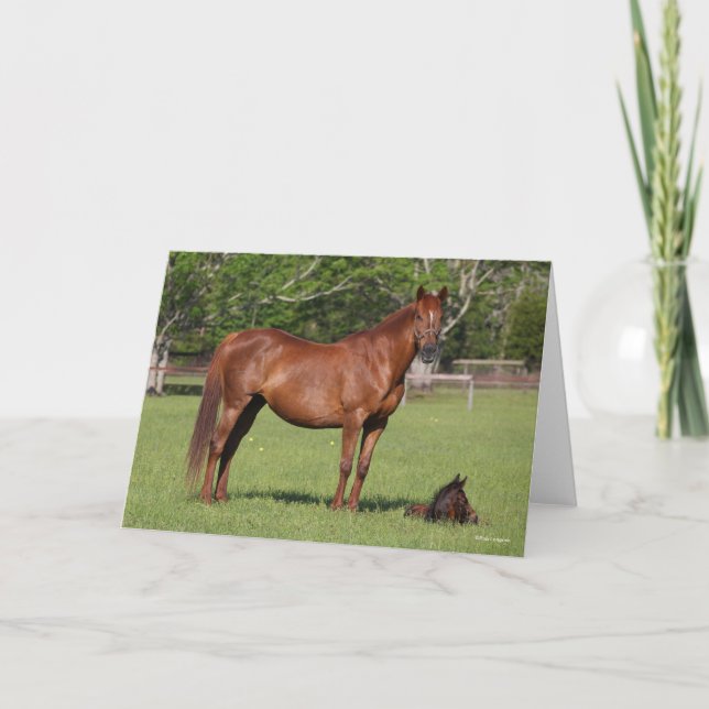 Carte Bob Langrish Quarter Horse Mare and Foal Standing (Devant)
