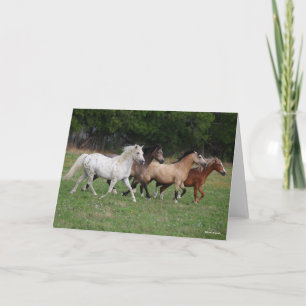 Carte Bob Langrish   Quatre Poney Courant Ensemble
