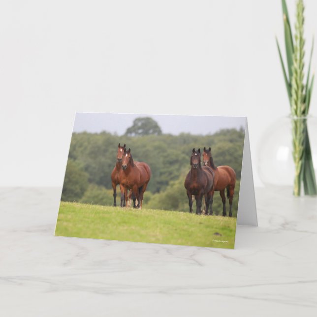 Carte Bob Langrish | Quatre Ponts gallois se rassemblent (Devant)