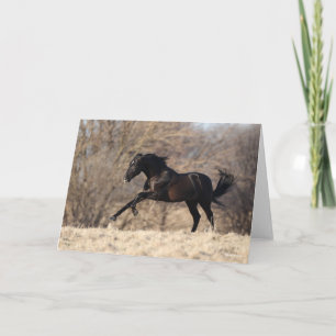 Carte Bob Langrish   Running andalou