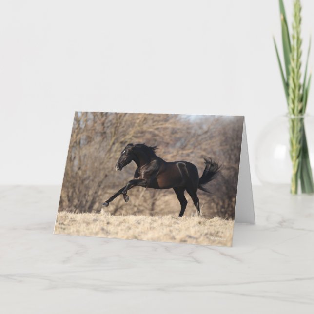 Carte Bob Langrish | Running Andalucian (Devant)