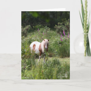Carte Bob Langrish   Shetland Pony Debout De Fleurs