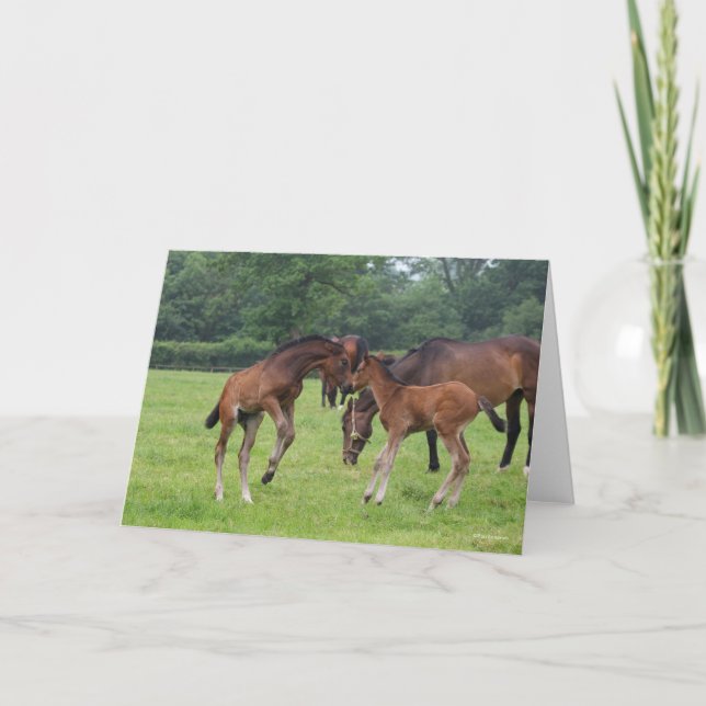 Carte Bob Langrish | Sport Horse Foals Jouer (Devant)