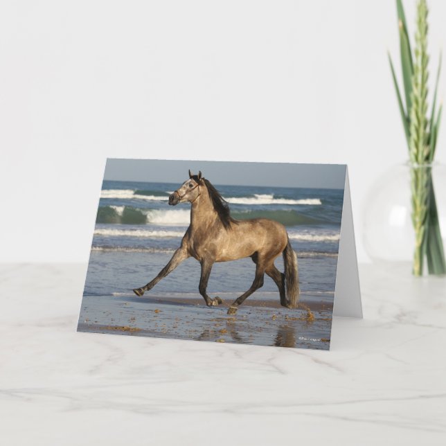 Carte Bob Langrish Stallion Andalou Courir Sur La Plage (Devant)