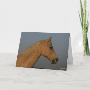 Carte Bob Langrish   Tennessee Walker Misty Headshot