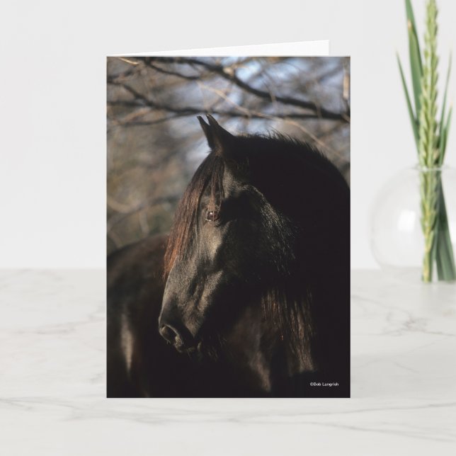 Carte Bob Langrish | Tennessee Walker noir (Devant)
