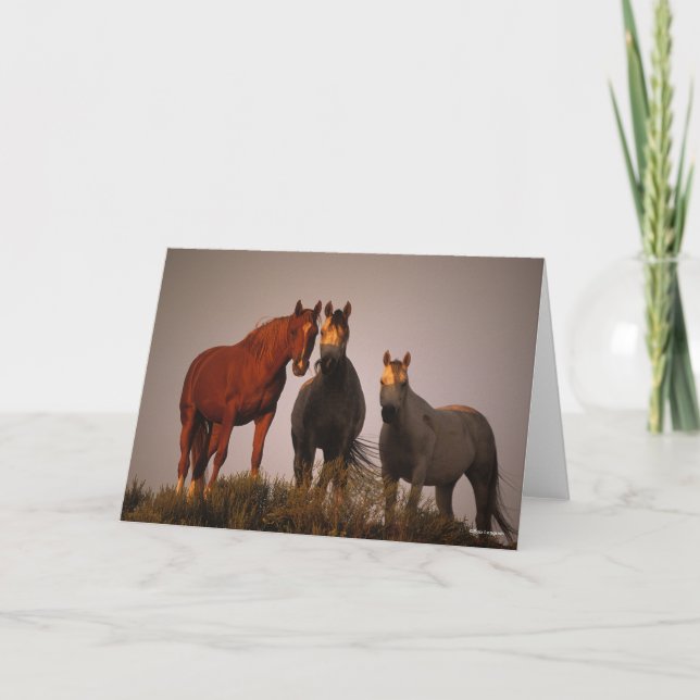 Carte Bob Langrish | Trois Arabes debout au coucher du s (Devant)