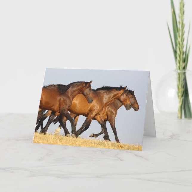 Carte Bob Langrish | Trois Mares andalouses en course (Devant)