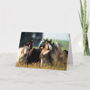 Carte Bob Langrish Troupeau De Chevaux Se Tenant Avec