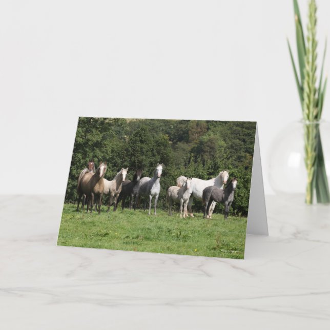 Carte Bob Langrish | Troupeau De Ponies Galloises Debout (Devant)