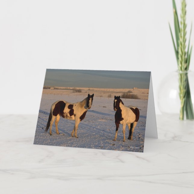 Carte Bob Langrish | Two Paint Horses In The Snow (Devant)