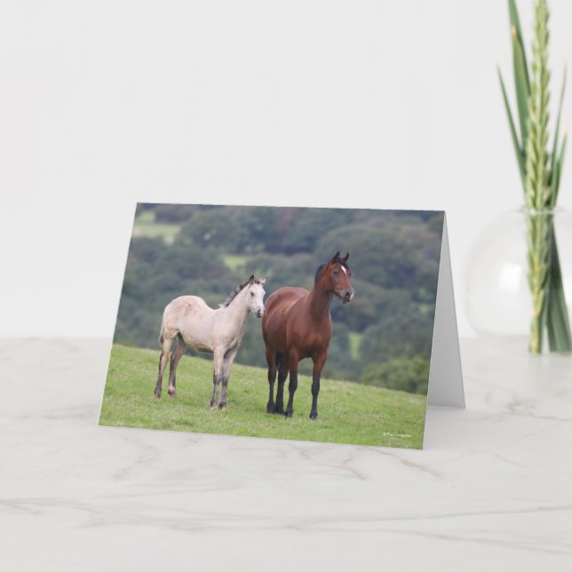 Carte Bob Langrish | Welsh Pony Mare and Foie Standing (Devant)