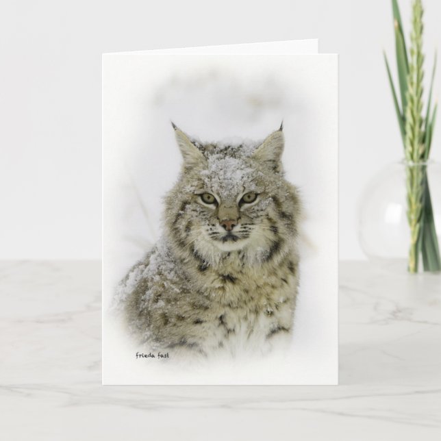 Carte Bobcat (Devant)