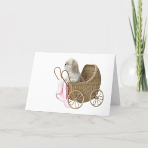 Carte Boguet de bébé de Shih Tzu