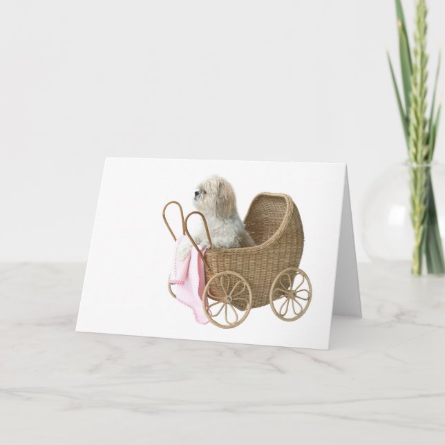 Carte Boguet de bébé de Shih Tzu (Devant)