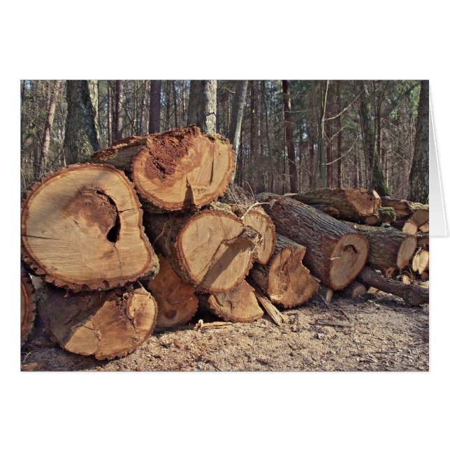 Carte bois (Devant horizontal)