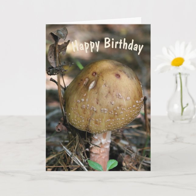 Carte Bois Champignons Nature Anniversaire (Petite plante)