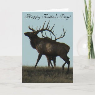 Carte Bois de cerf élaphe E14 à l'horizon en silhouette