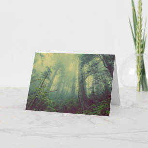 Carte Bois Du Bas