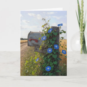 Carte Boîte aux lettres de campagne d'anniversaire avec