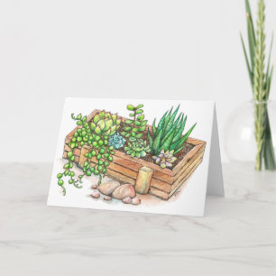 Carte Boite programmée succulent