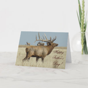 Carte Boîtier de troupeau E4 Bull Elk