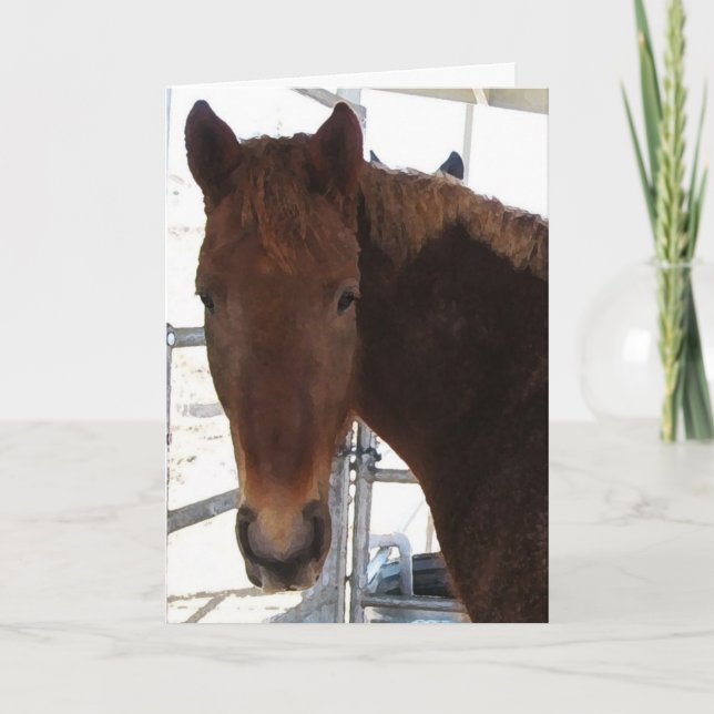 Carte Bon anniversaire de sens de cheval de TWH (Devant)