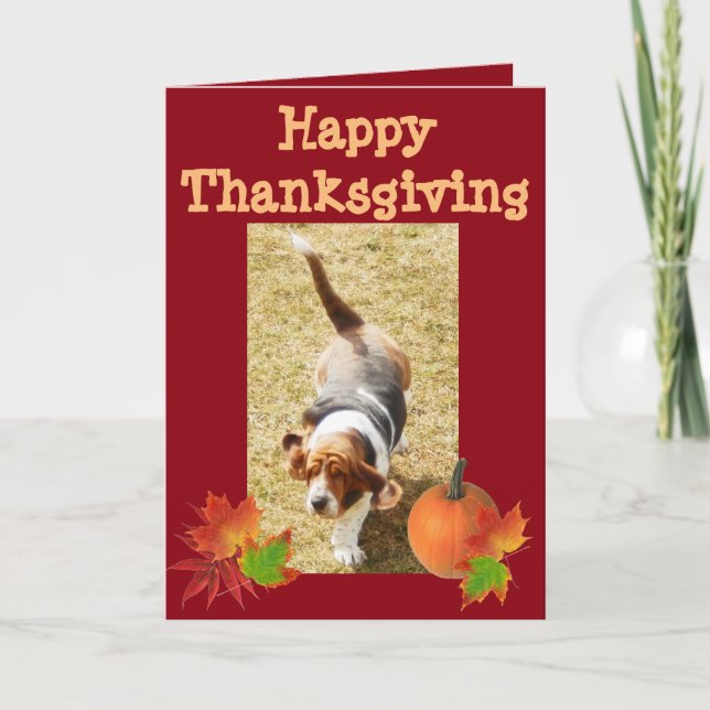 Carte "Bon thanksgiving" Basset Hound avec Citroui (Devant)