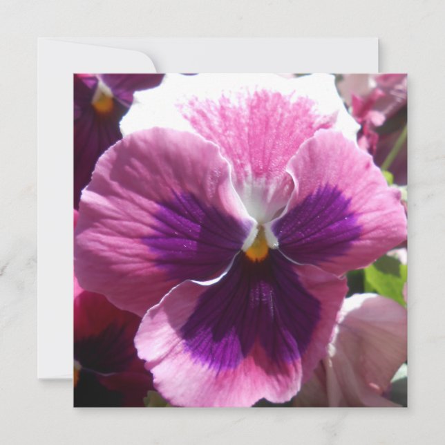 Carte Bonheur (Devant)