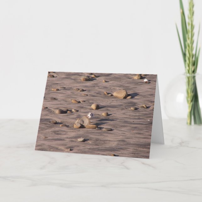 Carte Bonjour (Devant)