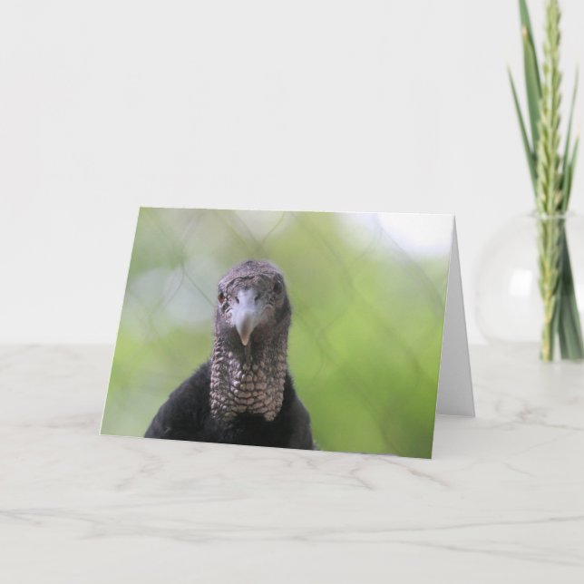 Carte Bonjour  (Devant)