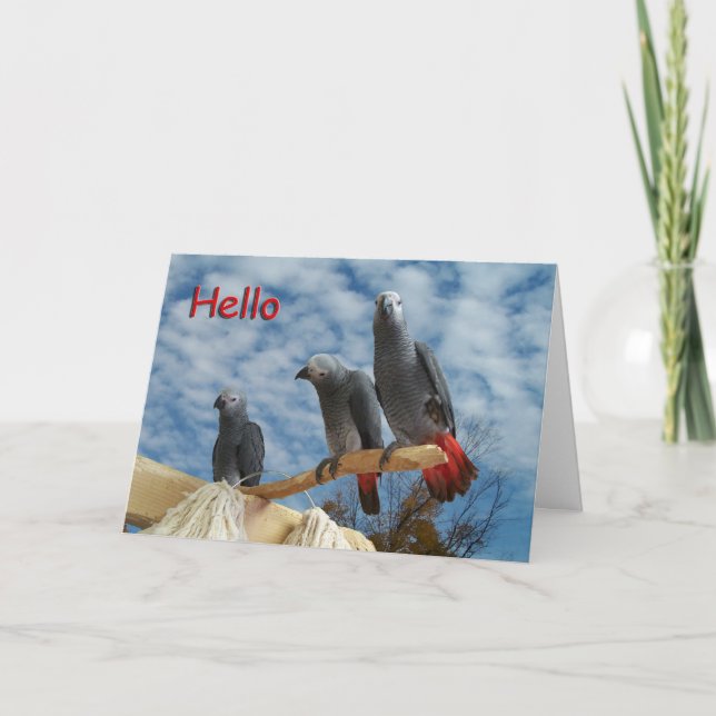 Carte Bonjour (Devant)