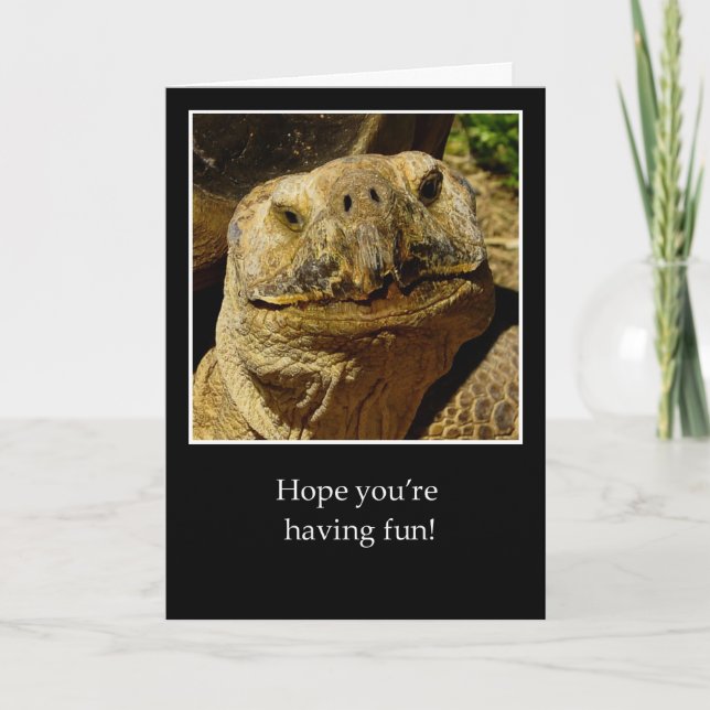 Carte Bonjour à Camper Tortue Souriante (Devant)
