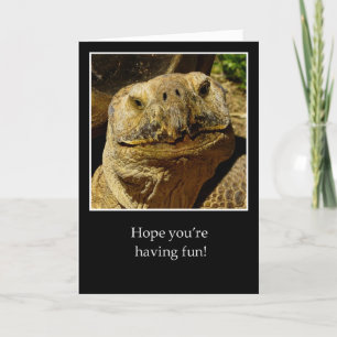 Carte Bonjour à Camper Tortue Souriante