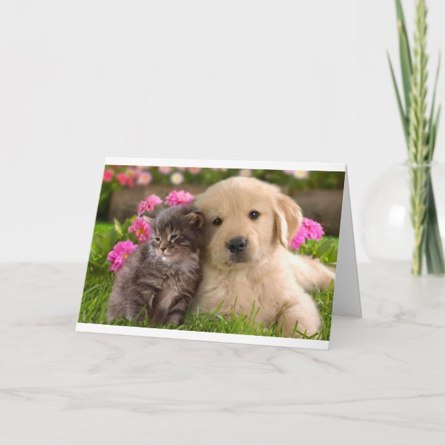 Carte Bonjour ami Golden Retriever Puppy Kitten Card (Devant)