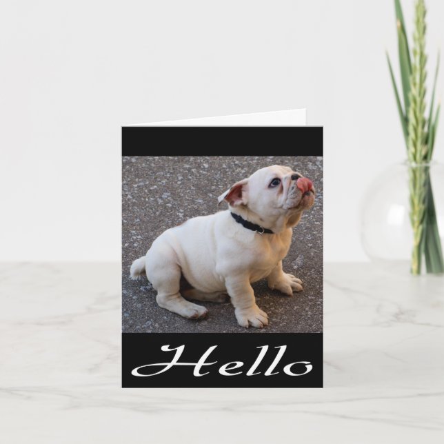 Carte Bonjour Anglais Bulldog Chien Chien Chien Chien No (Devant)