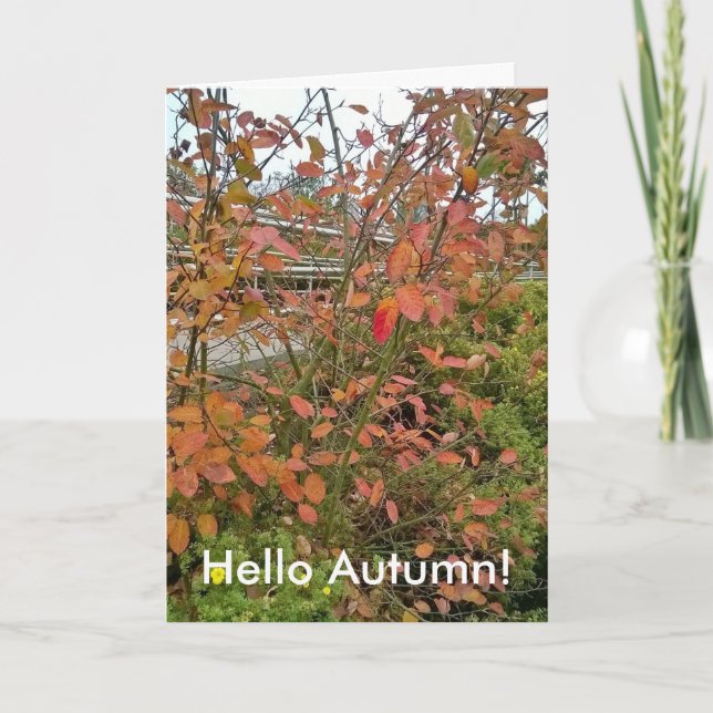 Carte Bonjour automne (Devant)