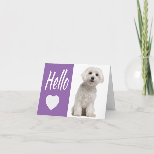 Carte Bonjour Blanc Maltais Chien Chien Chien Violet Coe (Devant)