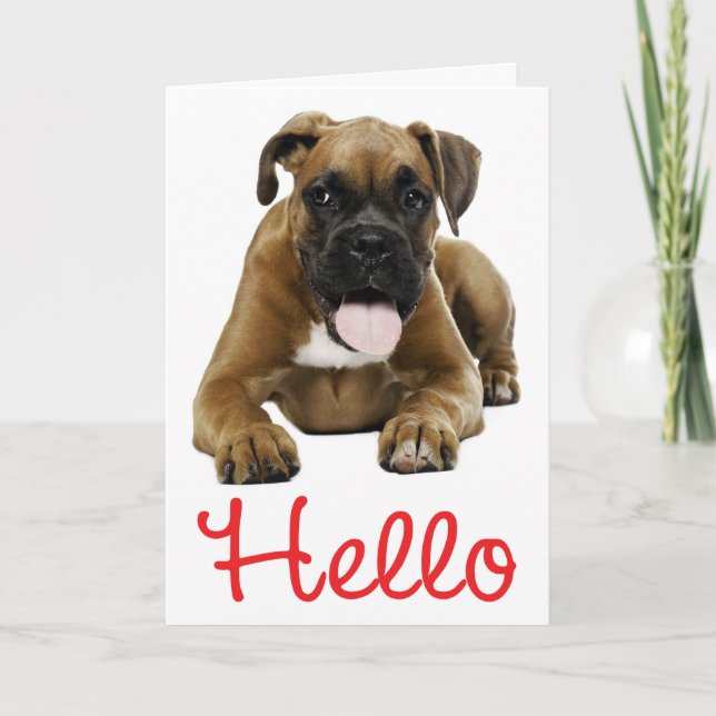 Carte Bonjour Boxer Chien de Chien de Chien de Chien de  (Devant)