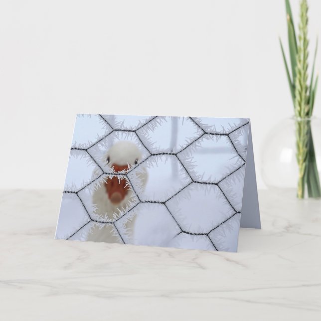 Carte Bonjour ! Canard derrière la clôture gelée Noël la (Devant)