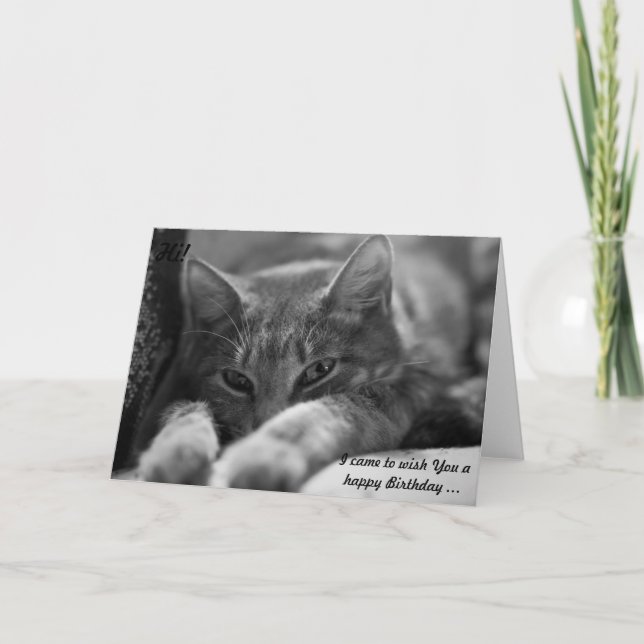 Carte Bonjour ! Ce chat vient souhaiter un joyeux annive (Devant)