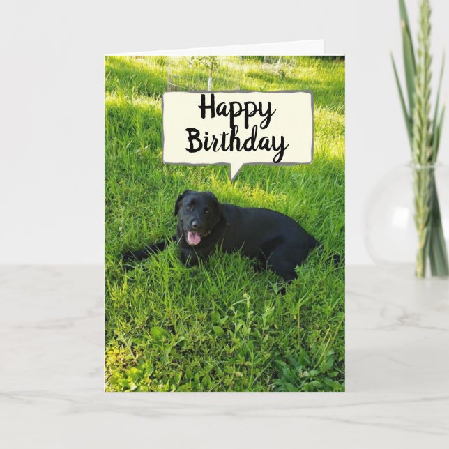 CARTE BONJOUR D'ANNIVERSAIRE BECUZ VOUS "COMPTE" FAV CO- (Devant)