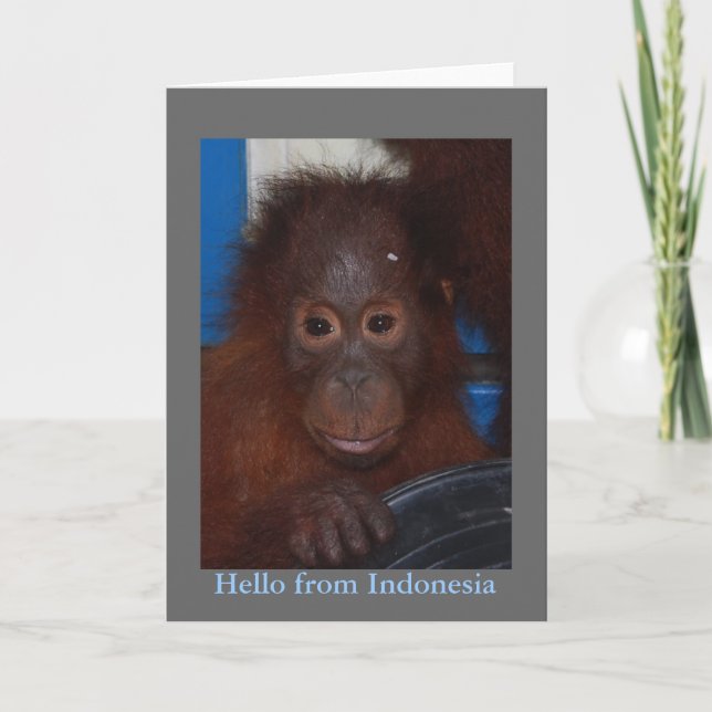 Carte Bonjour de la photo d'orang-outan de l'Indonésie (Devant)