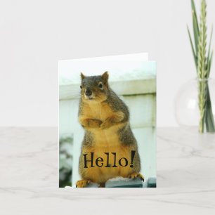 Carte Bonjour de Squirrel