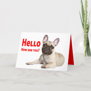 Carte Bonjour Français Chien de Chien de Chien de Chien 