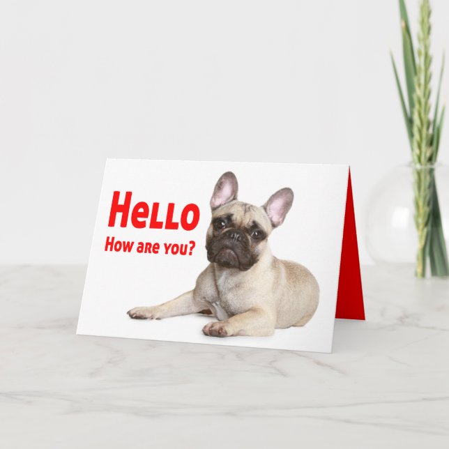 Carte Bonjour Français Chien de Chien de Chien de Chien  (Devant)