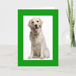 Carte Bonjour Golden Retriever Chien Chien Chien Chien C