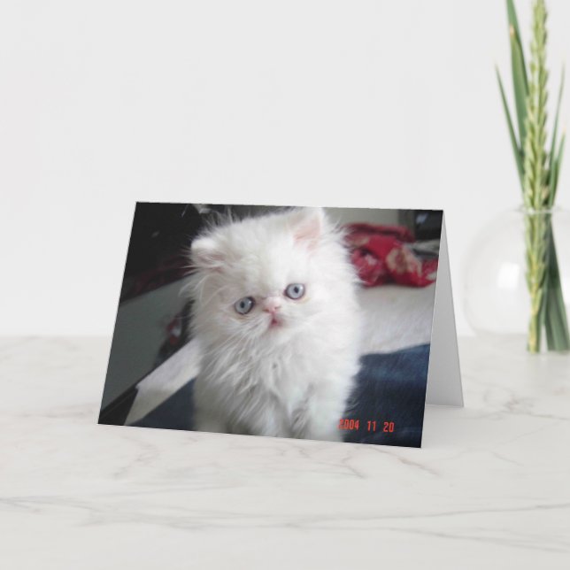 CARTE BONJOUR KITTY ! (Devant)